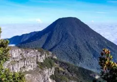 Kebakaran Alun-alun Suryakencana Paksa Penutupan Total Jalur Pendakian Gunung Gede Mulai 7 Agustus