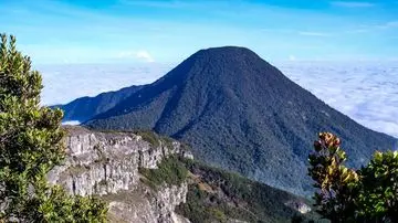 Kebakaran Alun-alun Suryakencana Paksa Penutupan Total Jalur Pendakian Gunung Gede Mulai 7 Agustus