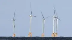 AS Bayar Rp 18 Triliun ke Jerman untuk Hentikan Proyek Energi Angin Lepas Pantai