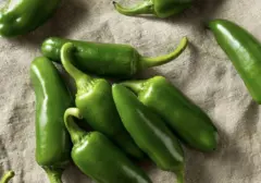 Wabah Salmonella Meluas: Cabai Jalapeno Meksiko Picu Ratusan Kasus Keracunan di Amerika Serikat