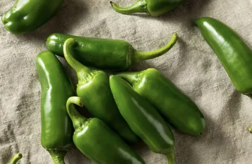 Wabah Salmonella Meluas: Cabai Jalapeno Meksiko Picu Ratusan Kasus Keracunan di Amerika Serikat