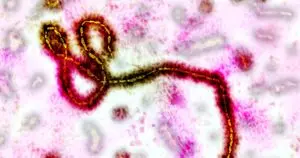 Vaksin Ebola Berlisensi Berpotensi Digunakan dalam Wabah Kongo
