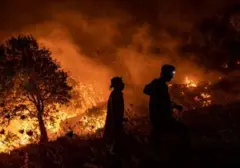 Api Merajalela di Gunung Rinjani, 30 Hektar Lahan Terbakar