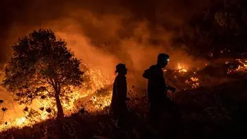 Api Merajalela di Gunung Rinjani, 30 Hektar Lahan Terbakar