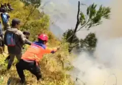 Kebakaran Hutan Melanda Taman Nasional Bromo Tengger Semeru, Akses Wisata Ditutup