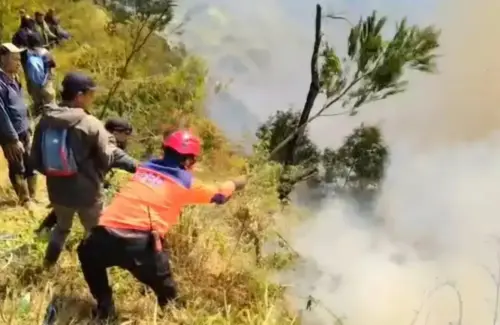 Kebakaran Hutan Melanda Taman Nasional Bromo Tengger Semeru, Akses Wisata Ditutup