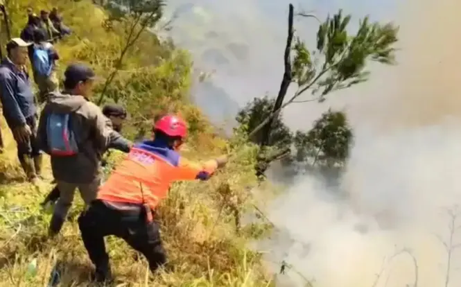 Kebakaran Hutan Melanda Taman Nasional Bromo Tengger Semeru, Akses Wisata Ditutup