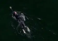 Rekor Baru: Bartłomiej Kubkowski Pecahkan Keheningan Laut Baltik dalam 55 Jam Nonstop
