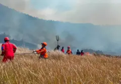 Api Unggun Diduga Jadi Pemicu Kebakaran Sabana Bromo