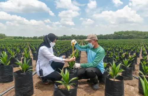PTPN Group Catat Kinerja Gemilang, Penjualan Tembus Rp29 Triliun di Semester I-2026