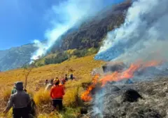 Api Melalap 176 Hektare Lahan Gunung Bromo, Aktivitas Manusia Diduga Jadi Pemicu
