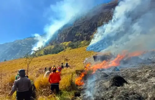 Api Melalap 176 Hektare Lahan Gunung Bromo, Aktivitas Manusia Diduga Jadi Pemicu