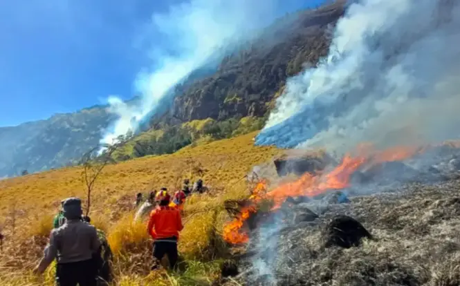 Api Melalap 176 Hektare Lahan Gunung Bromo, Aktivitas Manusia Diduga Jadi Pemicu