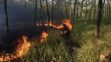 Kebakaran Lahan di Bangka Tengah Capai 118 Hektare dalam Dua Bulan
