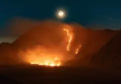 Kebakaran Melanda, Balai TNBTS Tutup Total Kawasan Gunung Bromo