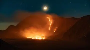 Kebakaran Melanda, Balai TNBTS Tutup Total Kawasan Gunung Bromo