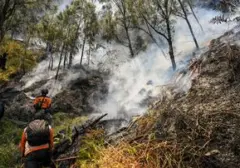 Kebakaran Hutan Landa Bromo, Akses Wisata Ditutup Total