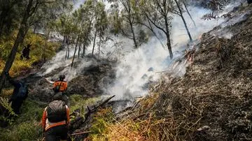 Kebakaran Hutan Landa Bromo, Akses Wisata Ditutup Total