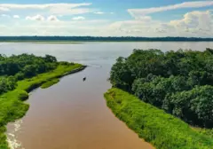 Menelusuri Raksasa Air: Sungai-Sungai Terpanjang yang Membelah Dunia