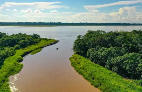 Menelusuri Raksasa Air: Sungai-Sungai Terpanjang yang Membelah Dunia