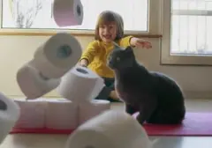 Di Balik Perilaku Kucing: Mengapa Mereka Suka Menjatuhkan Barang?