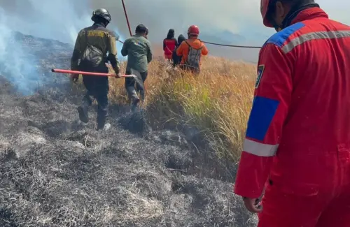 Kebakaran Bromo Meluas Melintasi Lautan Pasir Akibat Cuaca Kering dan Angin