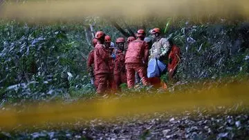 Helikopter Jatuh di Hutan Rio de Janeiro Tewaskan Empat Orang