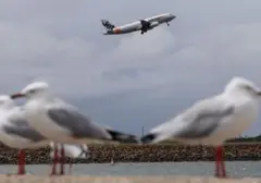 Insiden Nyaris Tabrakan Pesawat Jetstar dan Qatar Airways di Sydney, Satu Awak Kabin Terluka