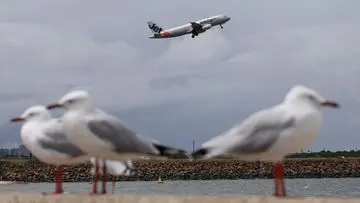 Insiden Nyaris Tabrakan Pesawat Jetstar dan Qatar Airways di Sydney, Satu Awak Kabin Terluka