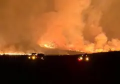 Kebakaran Gunung Bromo Melahap 550 Hektare, Ancaman Api Makin Dekat Permukiman