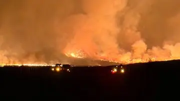 Kebakaran Gunung Bromo Melahap 550 Hektare, Ancaman Api Makin Dekat Permukiman