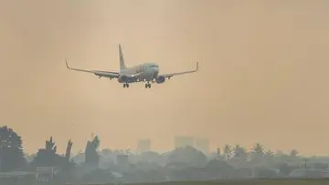Kebakaran Lahan Gambut Melanda Sungai Tendang, 10 Hektare Terbakar Dekat Bandara