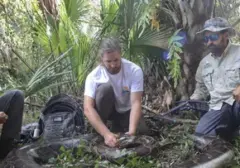 Florida Berhasil Tangkap Ribuan Ular Sanca dalam Kompetisi 2026