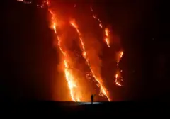 Api Lahap 125 Hektare Hutan Cemara Gunung Bromo Diduga Akibat Pembakaran Arang Warga