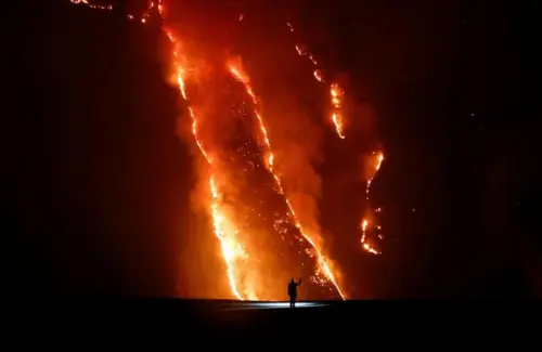 Api Lahap 125 Hektare Hutan Cemara Gunung Bromo Diduga Akibat Pembakaran Arang Warga