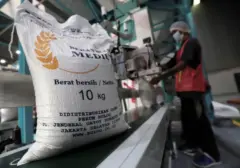 Stok Beras Bulog 5,25 Juta Ton: Ditegaskan Tidak Menumpuk, Melainkan Terus Bergulir