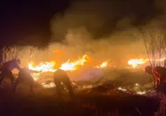 Api di Savana Bromo Mulai Terkendali, Pendinginan Intensif Dilakukan