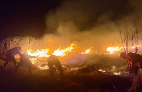 Api di Savana Bromo Mulai Terkendali, Pendinginan Intensif Dilakukan