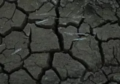 Badan Geologi Ungkap Penyebab Semburan Lumpur di Blora