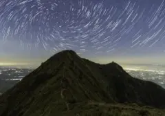 Api Melalap 3,67 Hektare Hutan Gunung Andong Magelang