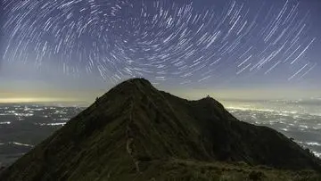 Api Melalap 3,67 Hektare Hutan Gunung Andong Magelang