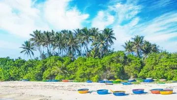 Turis China Terlibat Insiden di Situs Batu Purba Ly Son