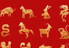 Peruntungan Shio Monyet, Ayam, Anjing, dan Babi pada 12 Agustus 2026