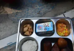 Guru Besar IPB: 4 Jam Konsumsi Tak Jamin Keamanan Makanan MBG, Pengawasan Kunci Utama