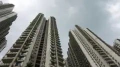 Forest City Malaysia: Dari Surga Impian Menjadi Sarang Dugaan Penipuan