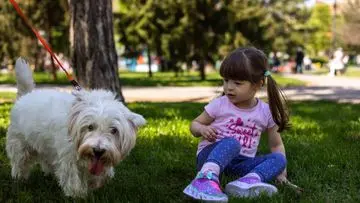 Panduan Praktis Atasi Fobia Anjing pada Anak