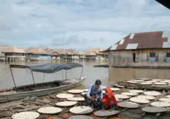 BRI Salurkan Rp103,81 Triliun KUR Hingga Pertengahan 2026, UMKM Jadi Prioritas