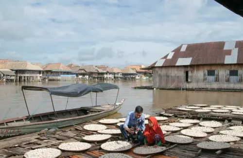 BRI Salurkan Rp103,81 Triliun KUR Hingga Pertengahan 2026, UMKM Jadi Prioritas