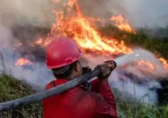 Kebakaran Lahan Meluas di Ogan Ilir, Petugas Berjibaku Padamkan Api