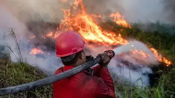 Kebakaran Lahan Meluas di Ogan Ilir, Petugas Berjibaku Padamkan Api